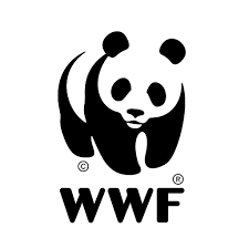 Logo 8